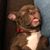 Ruth Malone's profile image