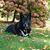 Portia Kittell-St Pierre's profile image