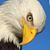 Johnathan Kaplan's profile image