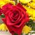 Ingrid Erickson's profile image