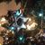 Kim Harrold Mansfield's profile image
