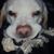 Fee Dinning-Coutts's profile image