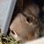 Kasey Tran's profile image