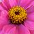 Sally Claws's profile image