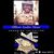 Stacy Lenarth Lopez's profile image