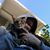 Don Rockey's profile image
