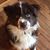 Pamela Geasey Miller's profile image