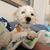 Kimberly Yourist-Good's profile image