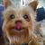 Randy Newlin's profile image