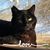 Trenda Malcolm Varner's profile image