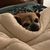 Patty Flores's profile image
