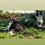 Kathy Freeborn's profile image
