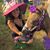Jennifer Chu's profile image