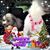 Sandra Marshall's profile image