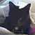 Heather Eileen Brennan's profile image