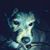Chuck Morrison's profile image