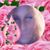Kimberly Holley's profile image