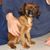 Amy N Randy Schott's profile image