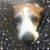 Rene Estey Ratliff's profile image