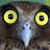 Karl Schrader's profile image