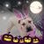Ellen B.'s profile image