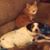Pam Brech- South's profile image