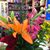 Heather Thiessen-Reily's profile image