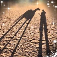 Sandi Inches's profile image