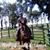 Angie Stevens's profile image