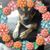 Valerie Scardina Brady's profile image