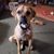 Sandy Engler's profile image
