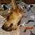 Melinda Brown-Helton's profile image