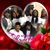 Lawana Lockett's profile image