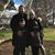 Stephanie Hutnick Campana's profile image