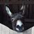 Connie Hux's profile image