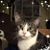 Bonnie Casane's profile image