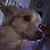 Leigh Delano's profile image