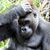 Billy Jones's profile image