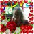 Deborah Annie Howard's profile image