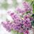 Beverly Wurth's profile image