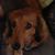 Katherine Pernat's profile image