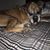 Katie Jane Apsley's profile image