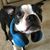 Becky Schoen's profile image