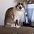 Helen Riggs's profile image