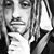 Dylan Indigo Rolf's profile image
