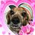 Teri Muroski Roberson's profile image