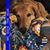 Janet Petry's profile image