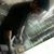 Theodoros Ninjas's profile image
