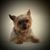 Sally Fruge's profile image