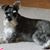 Ruth Belkey's profile image